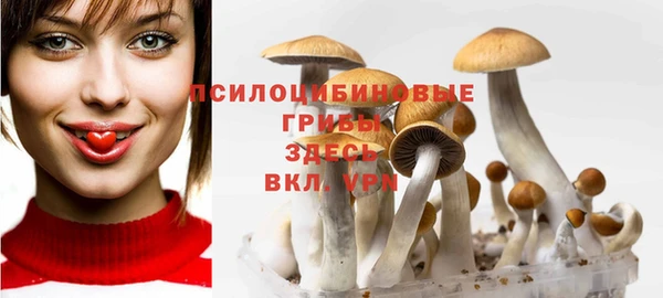гидропоника Дмитров