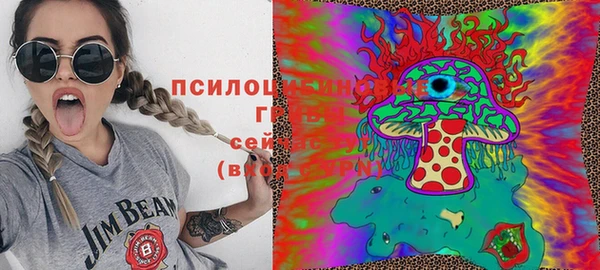 гидропоника Дмитров