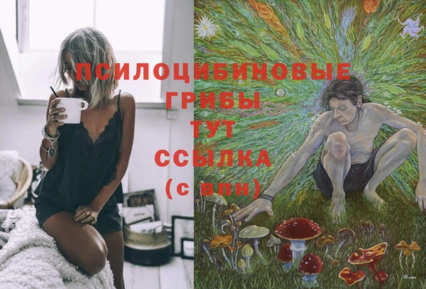 прущая мука Дмитриев