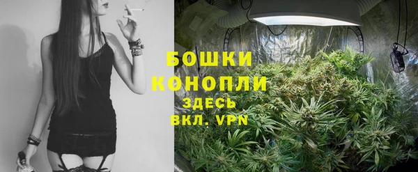 прущая мука Дмитриев