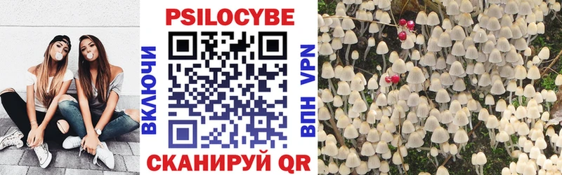 Купить закладки  Духовщина  Галлюциногенные грибы GOLDEN TEACHER 